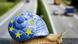 A snail with a European flag painted on her shell