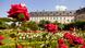 Rose Garden in Bamberg (picture-alliance/Arco Images/P. Schickert)